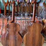Guitar Acoustic Gỗ Cẩm Ấn MP-A6