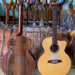 Guitar Acoustic Gỗ Cẩm Ấn MP-A6