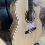 Guitar Acoustic Gỗ Điệp Kỹ MP-A1