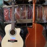 Đàn Guitar Acoustic gỗ hồng đào MP-A9