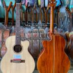 Đàn Guitar Acoustic Gỗ hồng đào MP-A1