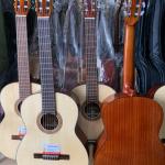 Đàn Guitar Classic Gỗ Hồng Đào MP-C2 Giá Rẻ