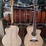 Guitar Acoustic Gỗ Sồi Pháp MP-A4