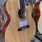 Đàn Guitar Acoustic gỗ hồng đào MP-A3