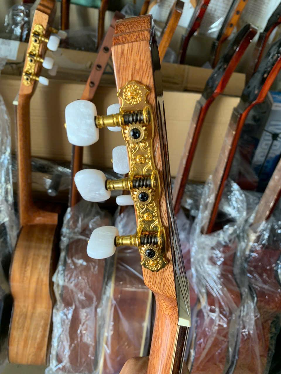 guitar-classic-go-diep-ky-(2)