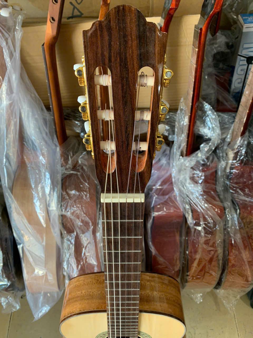 guitar-classic-go-diep-ky-(4)