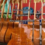 Guitar Acoustic Gỗ Bằng Lăng Cườm MP-A5